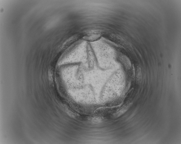 X0000072540282200608041630