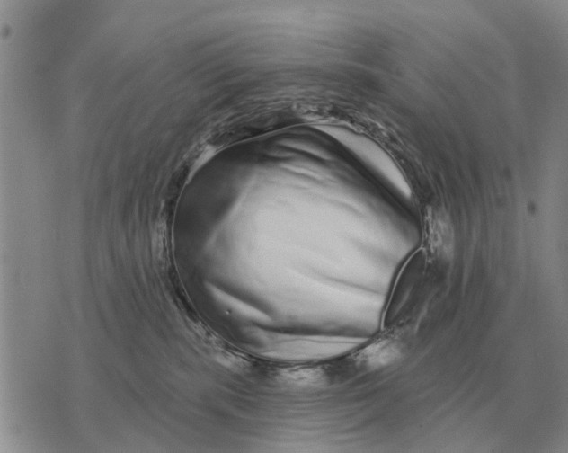 X0000072540283200608041630