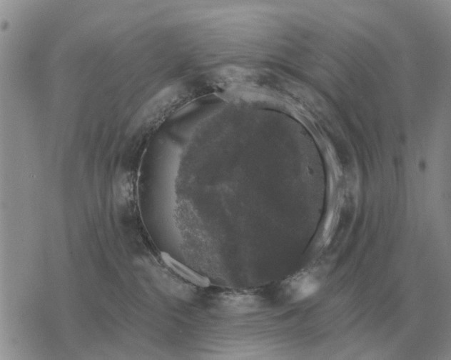 X0000072540284200608041630