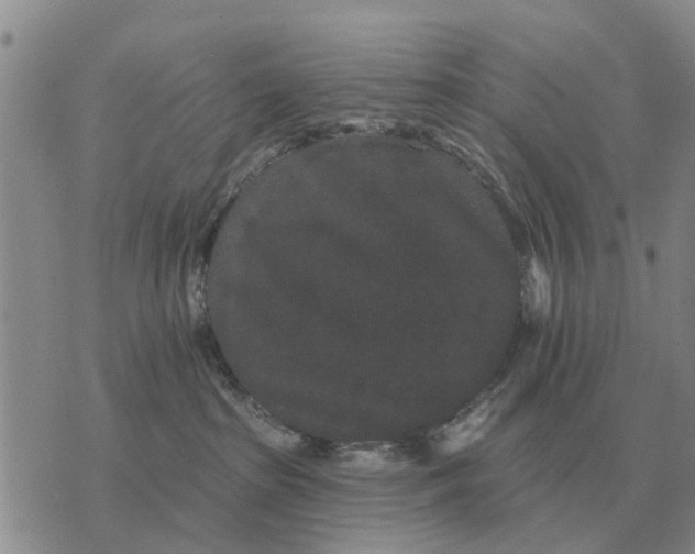 X0000072540285200608041630