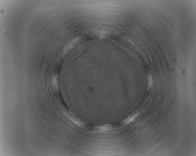 X0000072540286200608041630