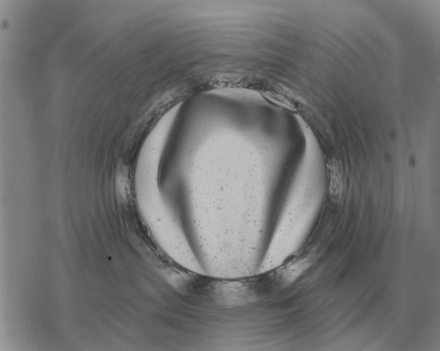 X0000072540287200608041630