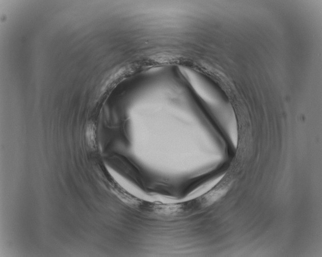 X0000072540288200608041630