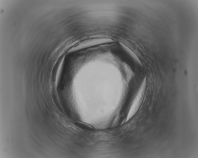 X0000072540290200608041629