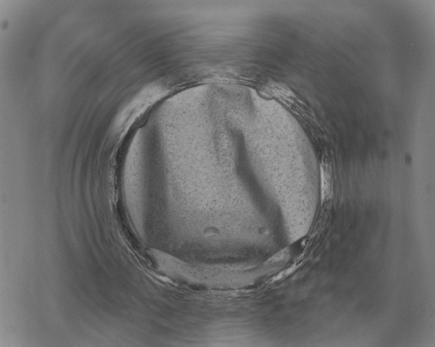 X0000072540291200608041629