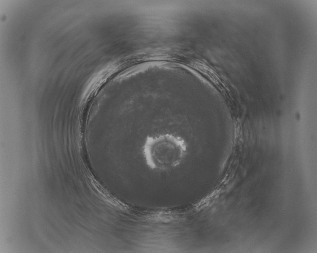 X0000072540293200608041629