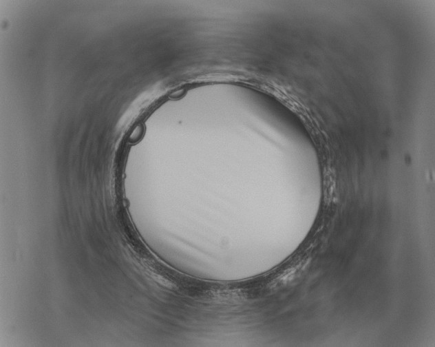 X0000072540296200608041629