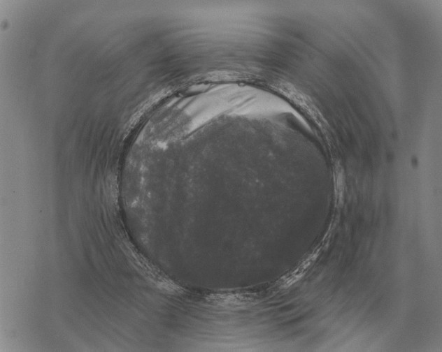 X0000072540297200608041629