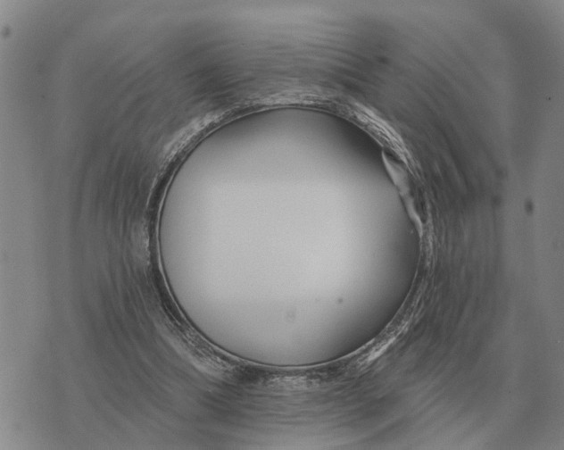 X0000072540298200608041629