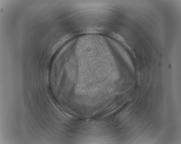 X0000072540299200608041629