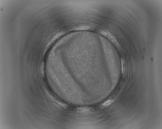 X0000072540300200608041629