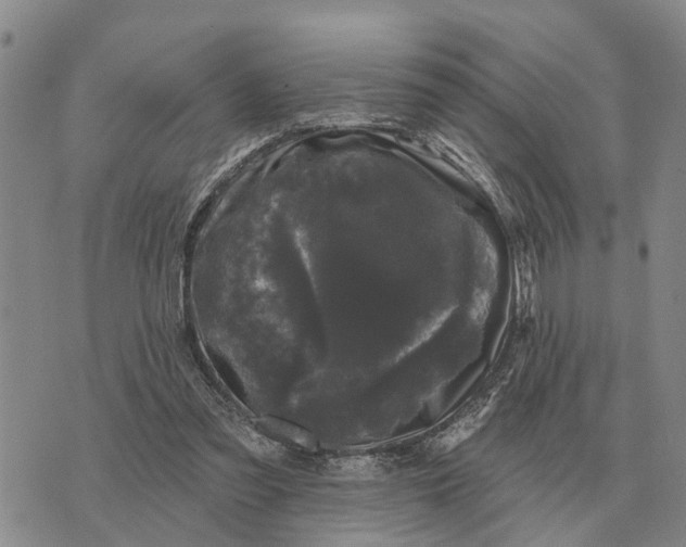 X0000072540301200608041629