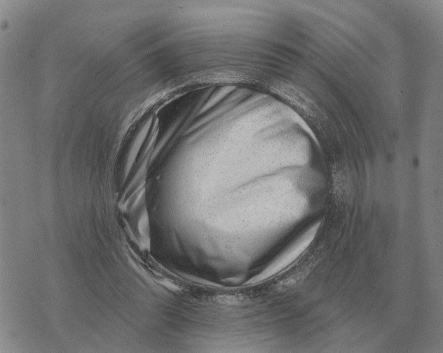 X0000072540302200608041629