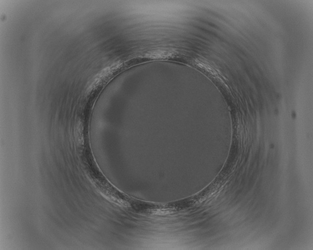 X0000072540303200608041629