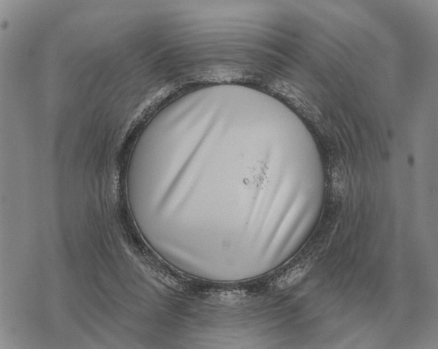 X0000072540304200608041629