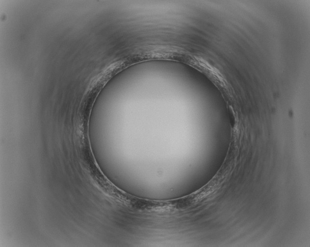 X0000072540306200608041629