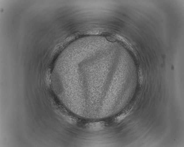 X0000072540307200608041629