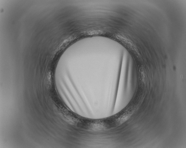 X0000072540308200608041629