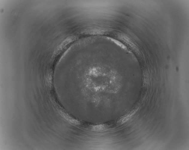 X0000072540309200608041629