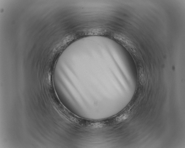 X0000072540310200608041629