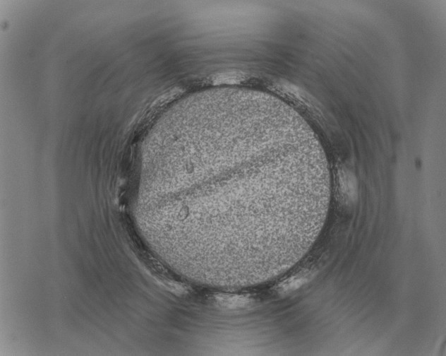 X0000072540311200608041629