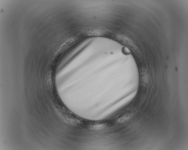 X0000072540312200608041629