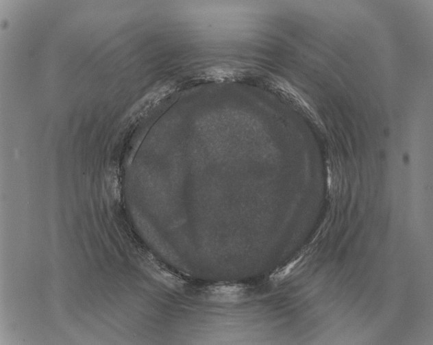 X0000072540313200608041629