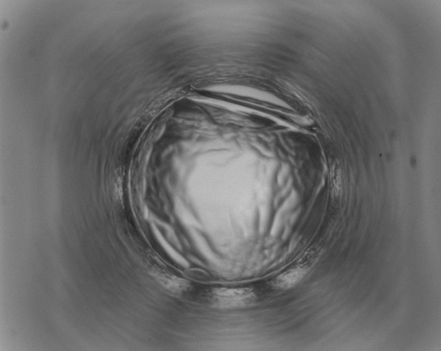 X0000072540315200608041629