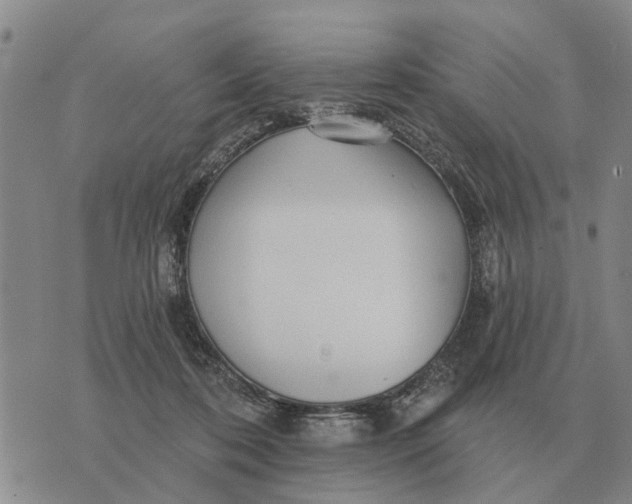 X0000072540316200608041629