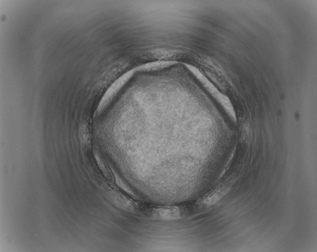 X0000072540317200608041629