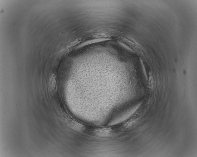 X0000072540318200608041629