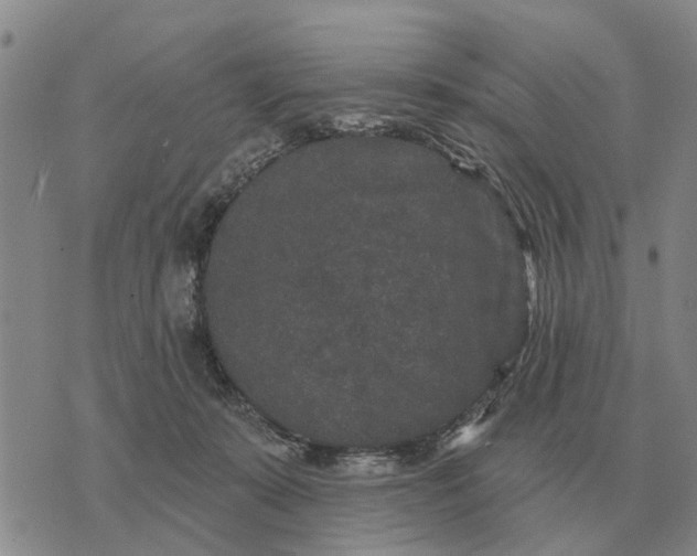 X0000072540319200608041629