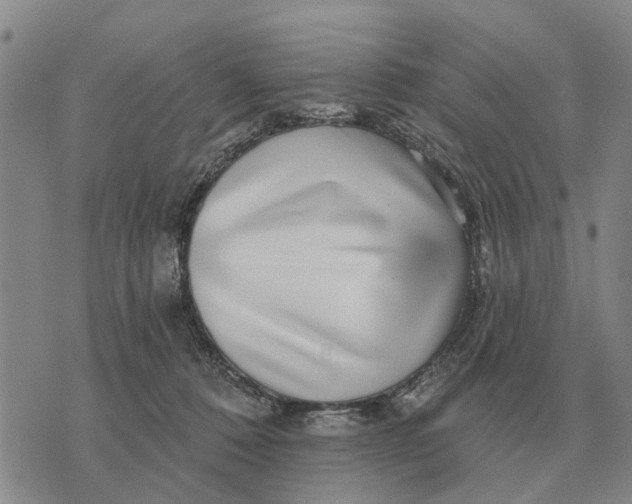 X0000072540320200608041629