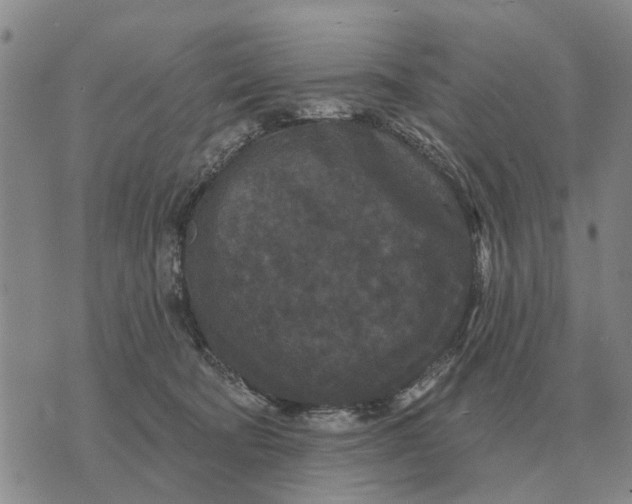 X0000072540322200608041629