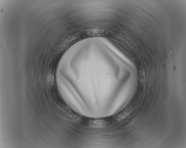 X0000072540324200608041629