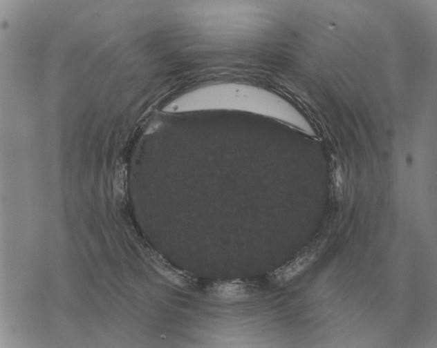 X0000072540325200608041629