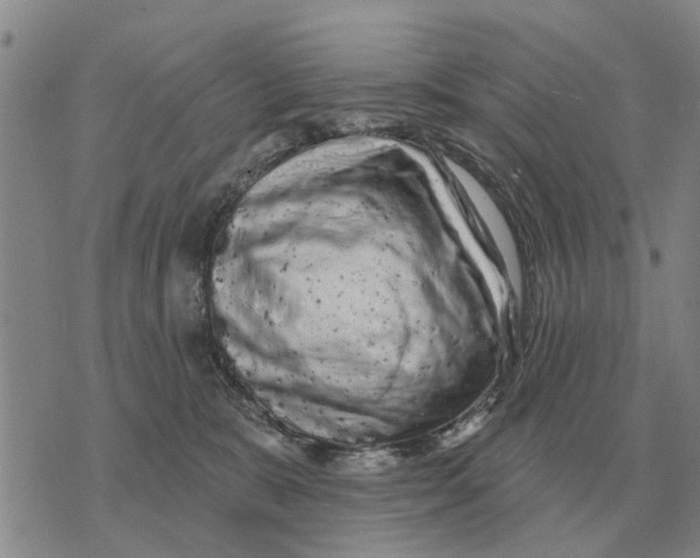 X0000072540327200608041629