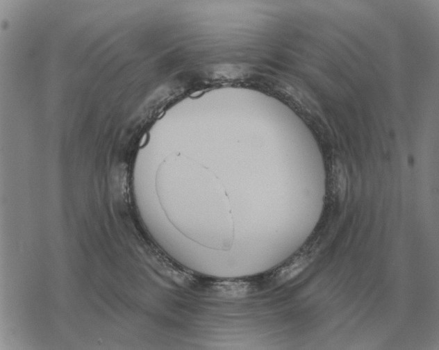 X0000072540328200608041629