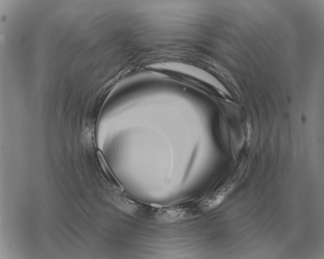 X0000072540329200608041629