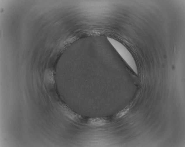 X0000072540331200608041629