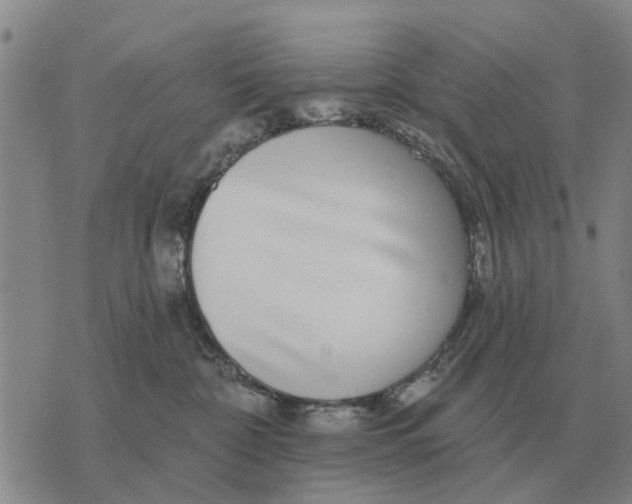 X0000072540332200608041629