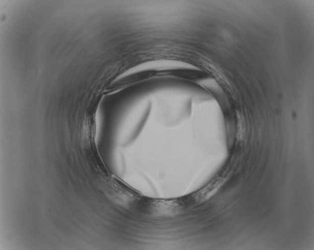 X0000072540333200608041629