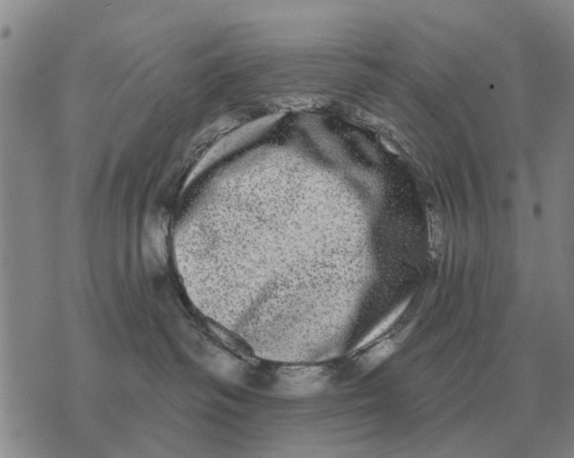 X0000072540334200608041629