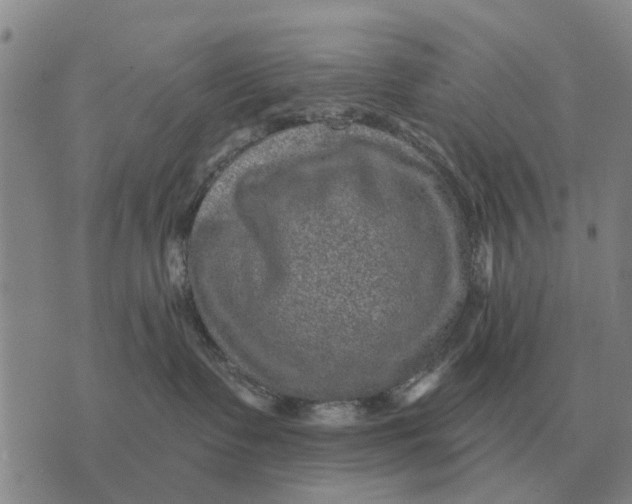 X0000072540335200608041629