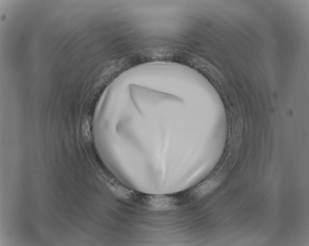 X0000072540336200608041629