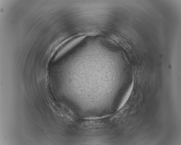 X0000072540338200608041628