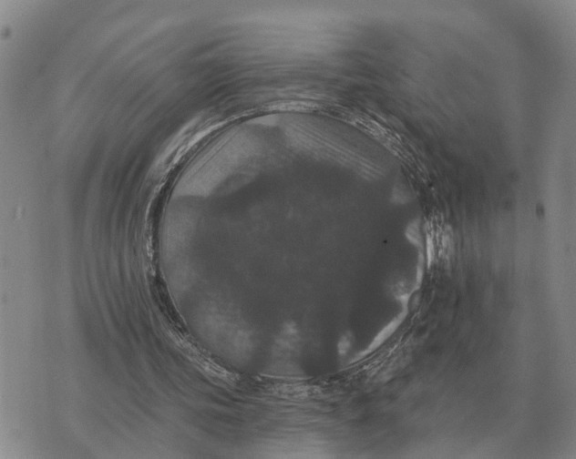 X0000072540339200608041628