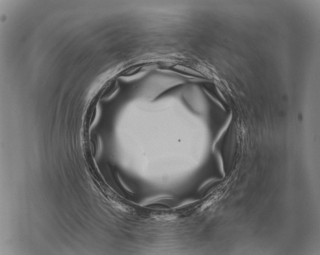 X0000072540340200608041628