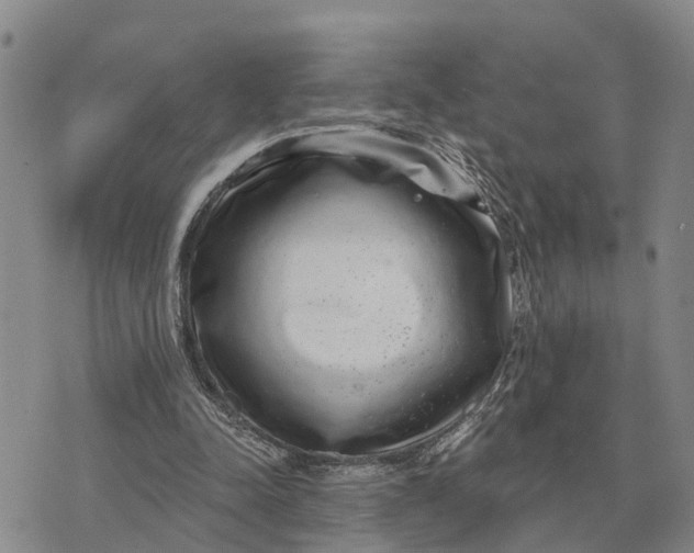 X0000072540342200608041628