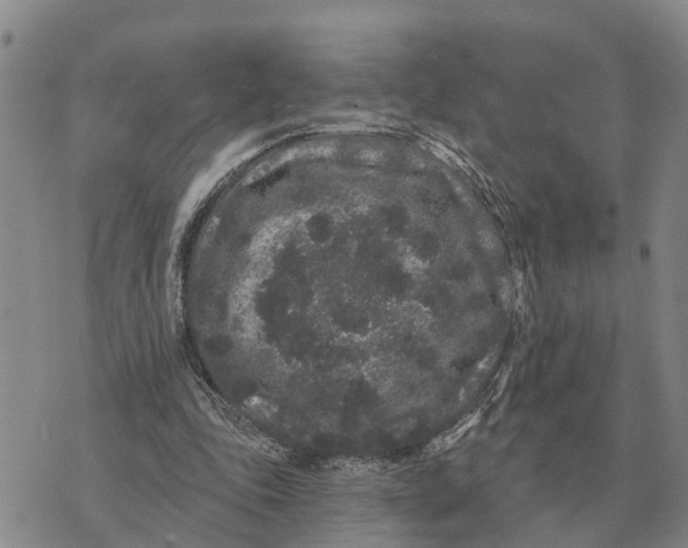 X0000072540343200608041628